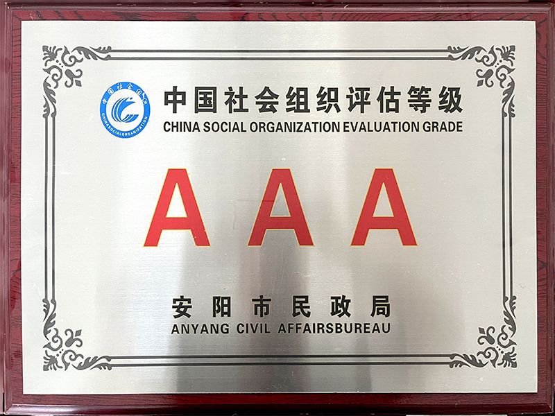 中国社会组织评估等级